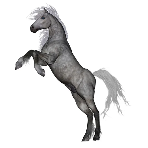 White horse uppfödning - 3d render — Stockfoto