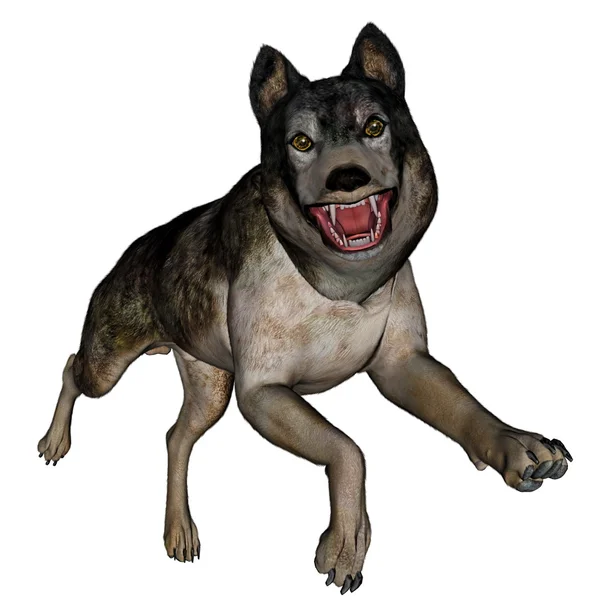 Wolf running renderização 3D — Fotografia de Stock