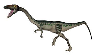 Coelophysis dinosaur - 3D render clipart