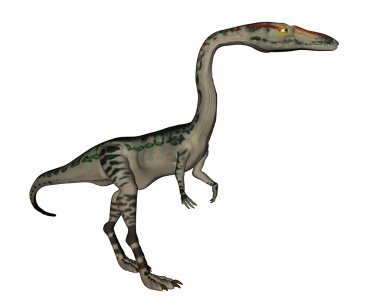 Coelophysis dinozor - 3d render