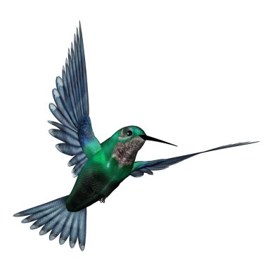 Emerald hummingbird - 3D render clipart