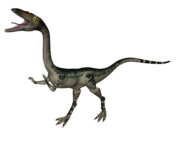 Coelophysis 恐龙-3d 渲染 — 图库照片