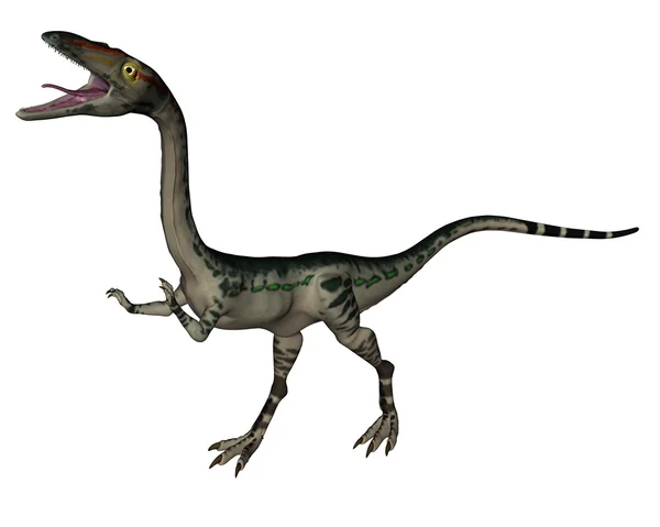 Dinosaurio Coelophysis - 3D render —  Fotos de Stock