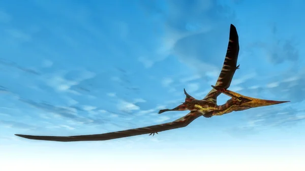 -3d render uçan Pteranodon kuş — Stok fotoğraf