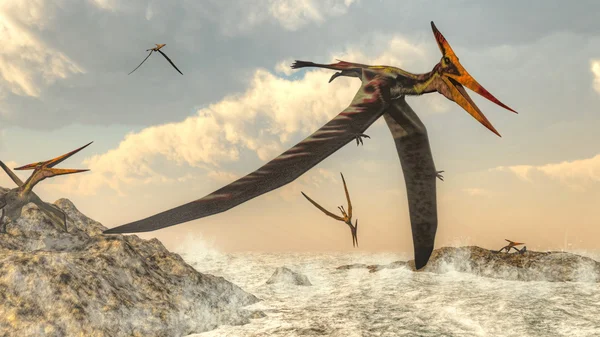 Pteranodon vogels vliegen - 3d render — Stockfoto