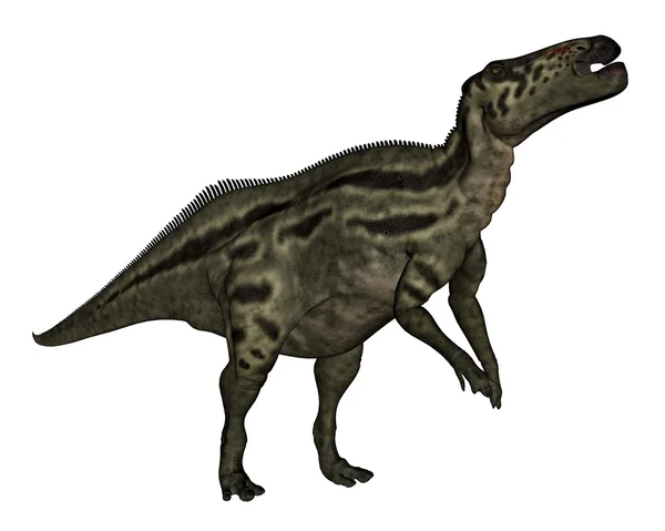 Dinossauro Shantungosaurus - renderização 3D — Fotografia de Stock