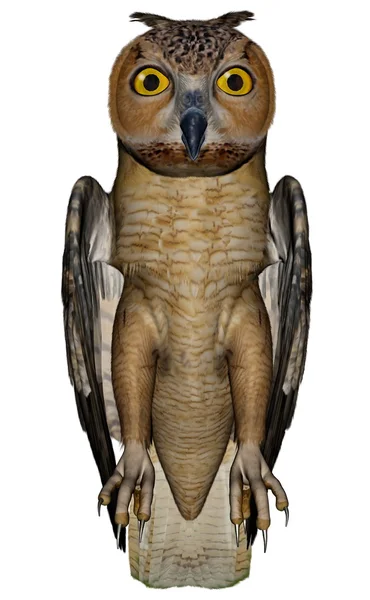 Búho águila - 3D render —  Fotos de Stock