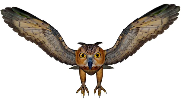 Eagle owl - 3D render — Stock Photo, Image