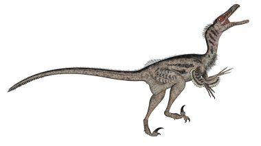 VelociRaptor dinozor - 3d render