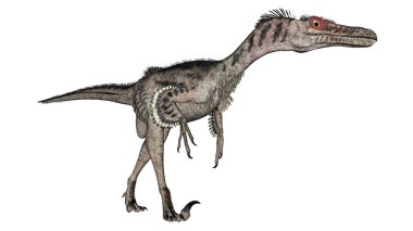 VelociRaptor dinozor - 3d render