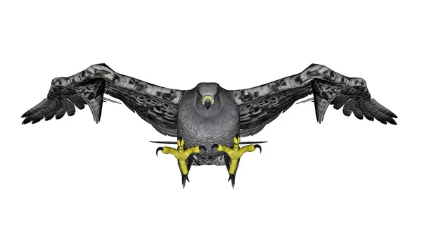 Grey falcon létání - 3d vykreslení — Stock fotografie