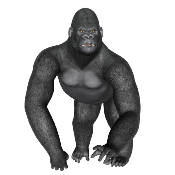 Wściekły goryl spaceru - 3d render — Zdjęcie stockowe