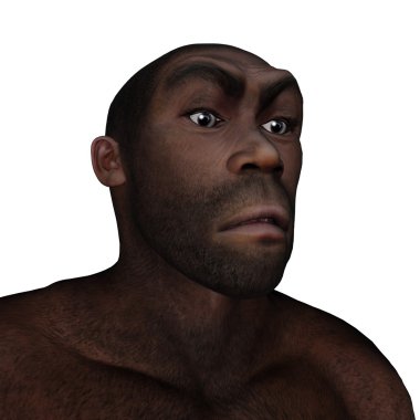 Erkek homo erectus kızgın - 3d render