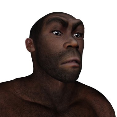 Male homo erectus angry - 3D render clipart