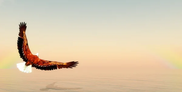 Voando águia renderizar 3D — Fotografia de Stock
