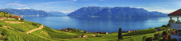 Panorama sur la région Lavaux, Vaud, Suisse — Photo