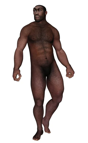 男性的直立猿人，一边看-3d 渲染 — 图库照片