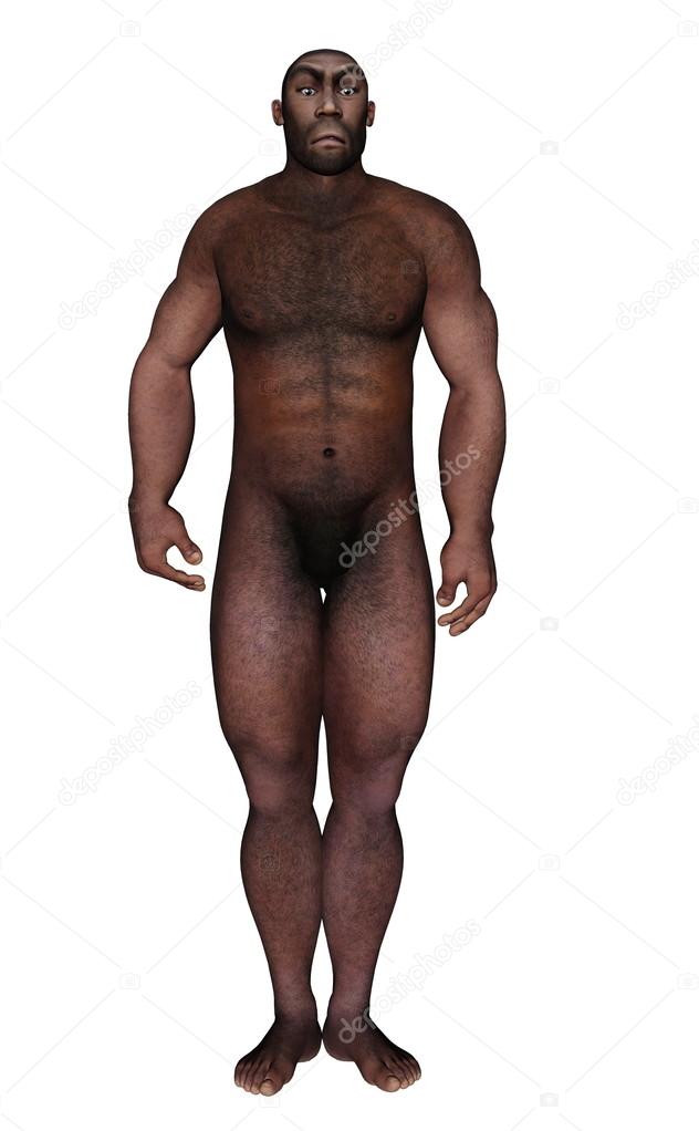 Male homo erectus standing - 3D render
