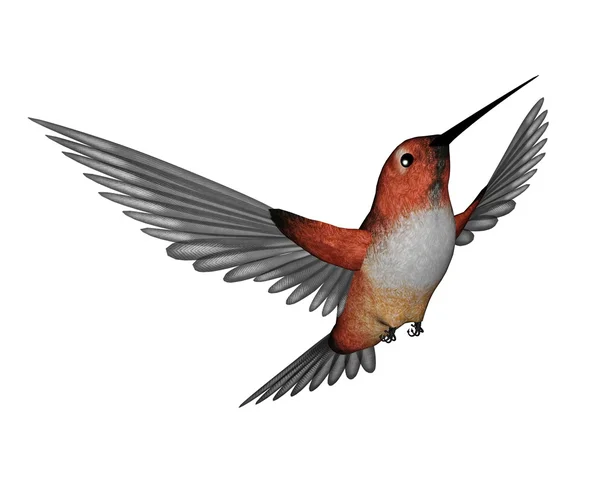 Allen hummingbird - 3d gör — Stockfoto