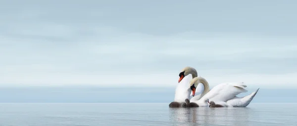 Swan family - 3D render — Stock Photo, Image