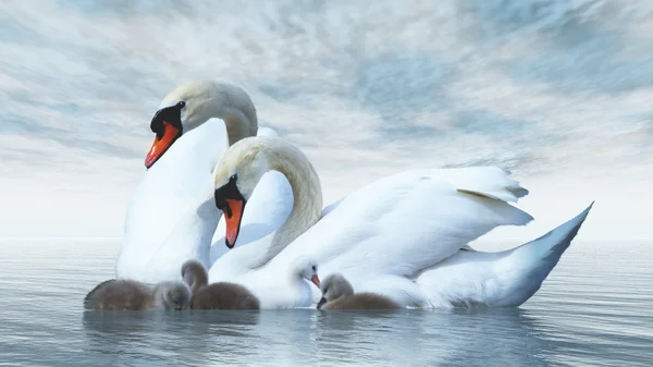 Familia de cisnes - 3D render — Foto de Stock