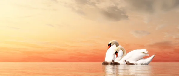 Swan family - 3D render — Stock Photo, Image