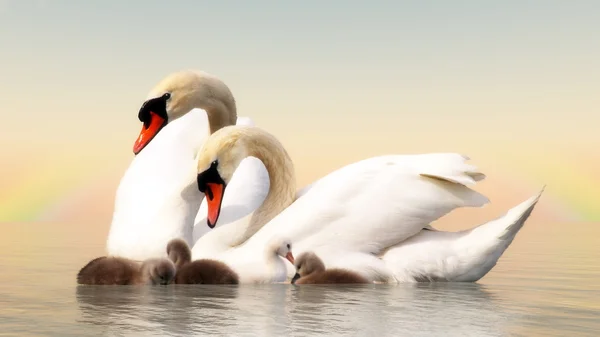 Swan family - 3D render — Stock Photo, Image