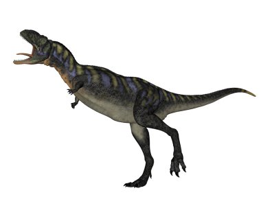 Aucasaurus dinozor - 3d render kükreyen yürüyüş