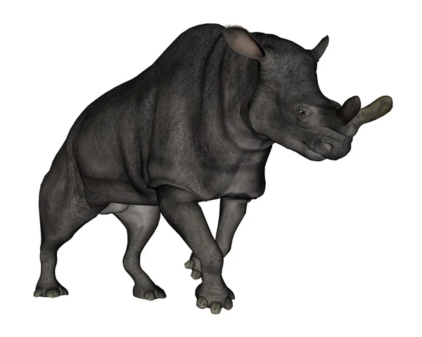 Brontotherium of megacerops dinosaur wandelen - 3d render — Stockfoto