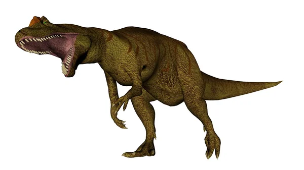 Rugido de dinosaurios Allosaurus - 3D render — Foto de Stock