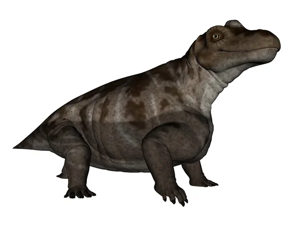 Dinossauro Keratocephalus renderizar 3D — Fotografia de Stock