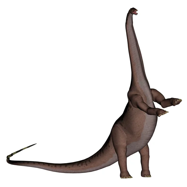 Dinosaure Apatosaurus debout - rendu 3D — Photo