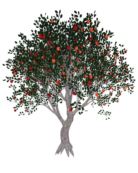 Árvore de maçã - renderização 3D — Fotografia de Stock
