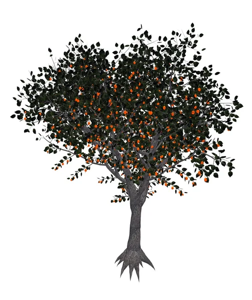 Árvore de damasco renderização 3D — Fotografia de Stock