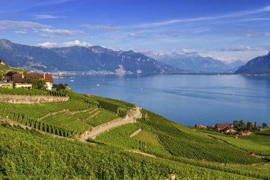 Lavaux bölge, Vaud, Hdr