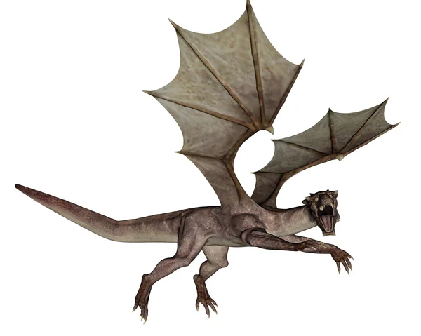 Dragon - 3D render — Stock Photo, Image