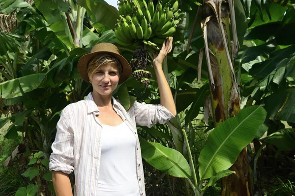 Mulher visitando plantação de banana — Fotografia de Stock