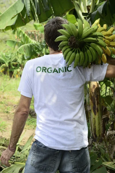 Фермер, несучи банани — стокове фото