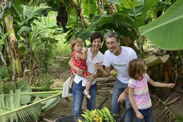 Agriculteur et famille dans la plantation de bananes — Photo