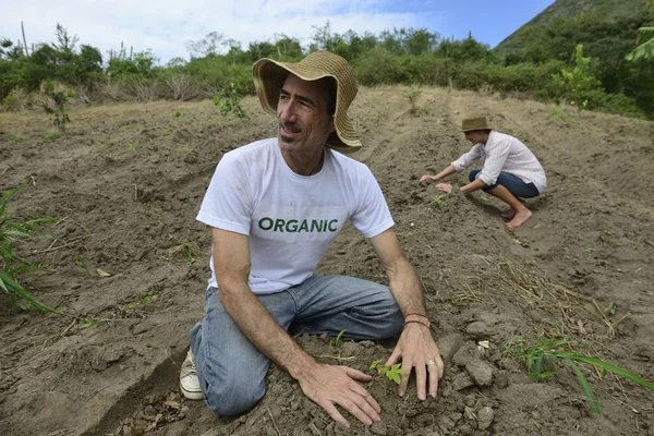Organic farmers planting seedling — Stock Photo, Image