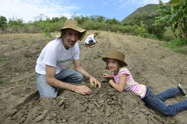 Familj jordbrukare plantering plantor — Stockfoto