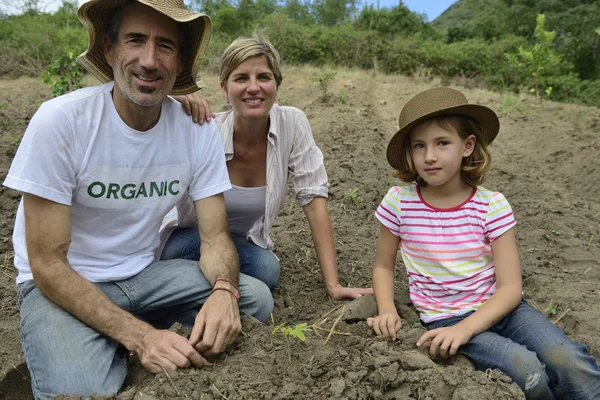 Family of farmers planting seedling — Stock Photo, Image