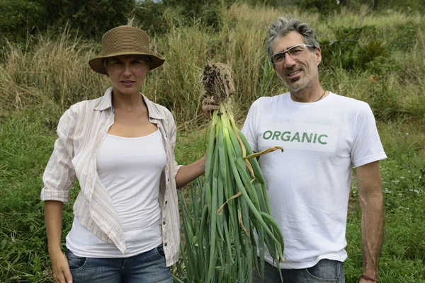 Couple d'agriculteurs montrant l'oignon — Photo