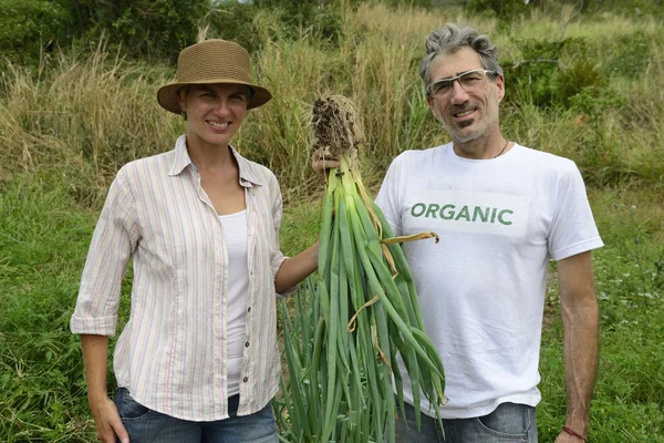 Couple d'agriculteurs montrant l'oignon — Photo