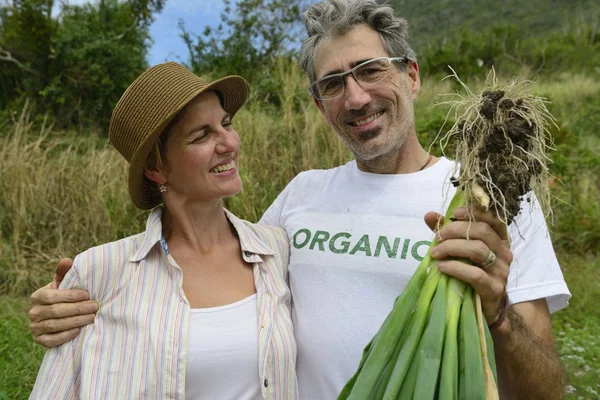 Pareja de granjeros mostrando cebolla — Foto de Stock