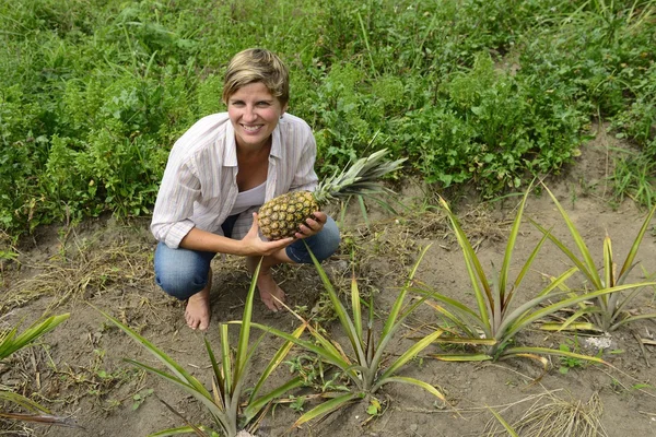 Agriculteur dans la plantation d'ananas — Photo