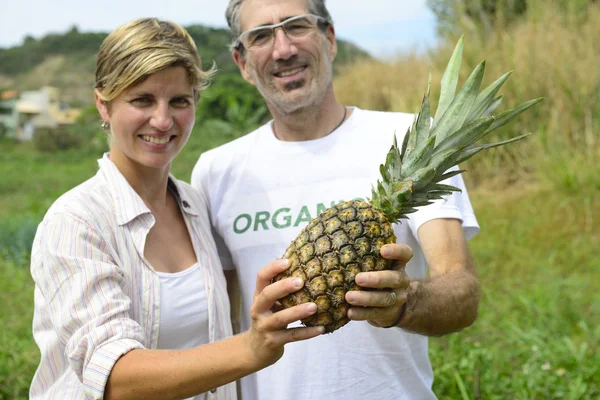 Пара фермеров с ананасом — стоковое фото