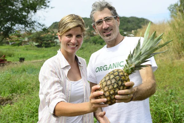 Casal de agricultores mostrando abacaxi — Fotografia de Stock