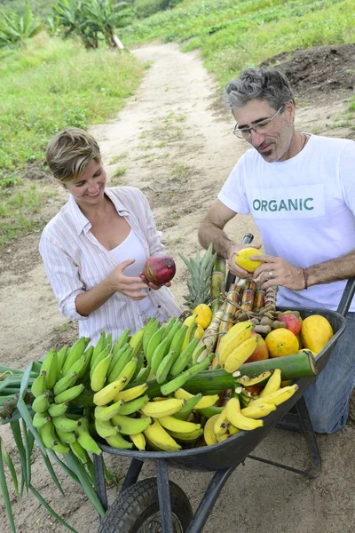 Customer buying direct from farmer — Stock Photo, Image