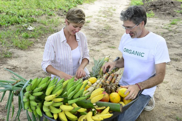 Customer buying direct from farmer — Stock Photo, Image